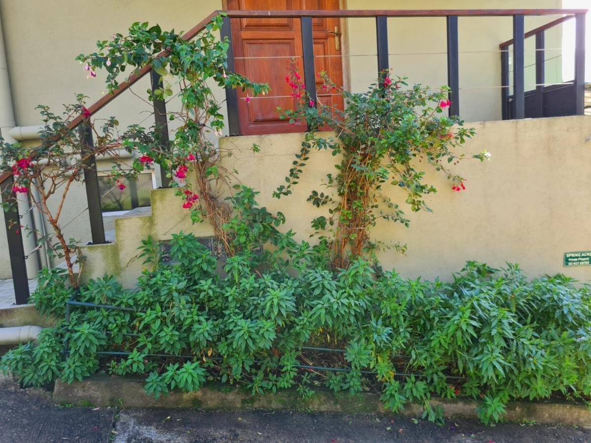 Villa Spring Acre Nuwara Eliya Exterior foto