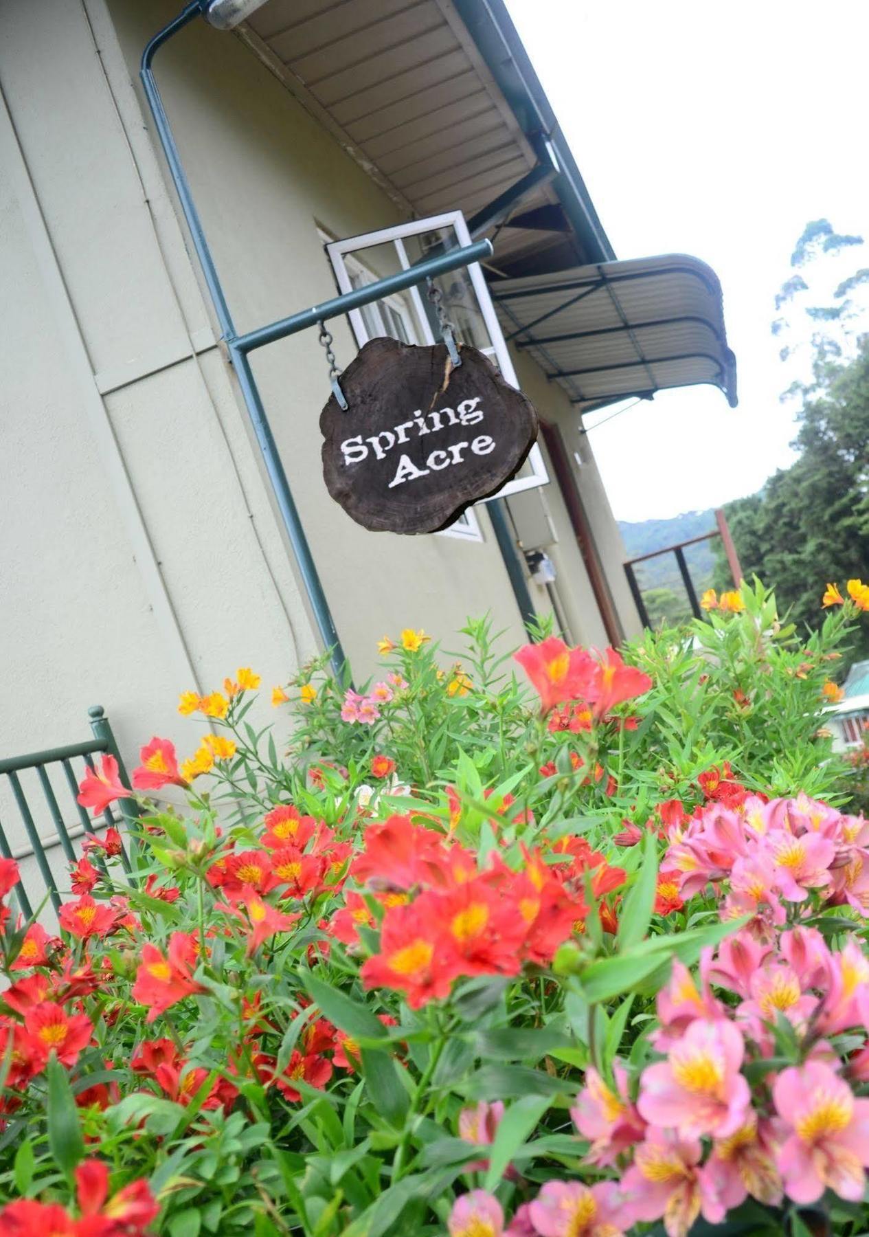 Villa Spring Acre Nuwara Eliya Exterior foto